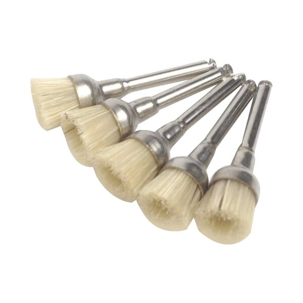Prophy Brush
